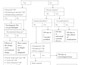 create clinical diagnosis and treatment algorithms and plans